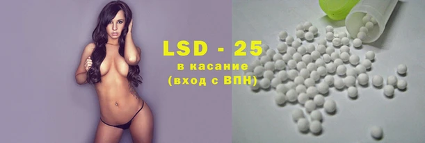 ПСИЛОЦИБИНОВЫЕ ГРИБЫ Алексин