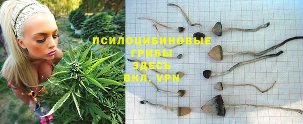 ПСИЛОЦИБИНОВЫЕ ГРИБЫ Алексин