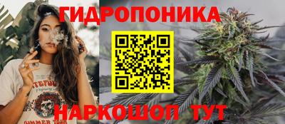 Альфа ПВП Брянск