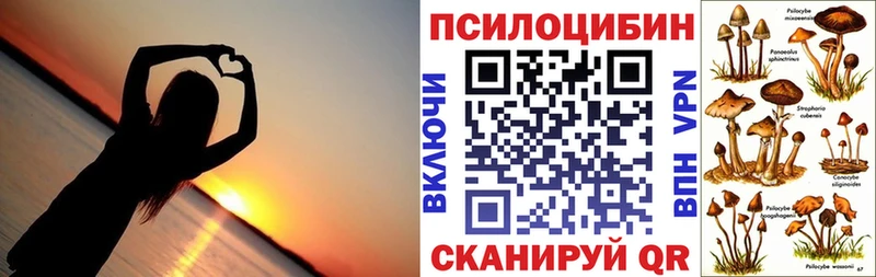 МЕГА ONION  наркошоп  Мегион  Псилоцибиновые грибы Psilocybe 