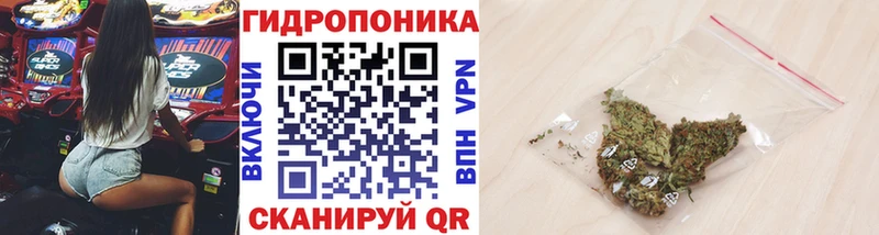 Бошки Шишки OG Kush  маркетплейс клад  Мегион  цена наркотик 